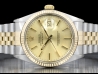 Rolex Datejust 36 Champagne Jubilee Crissy Dial  Watch   16013 